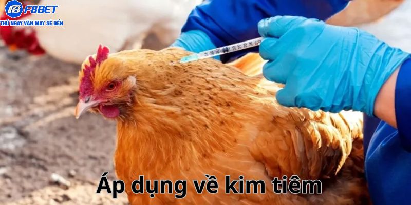 Sử dụng phương pháp liên quan đến ống chích