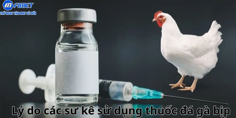 Nguyên do nên dùng thuốc cho gà từ người chăm gà