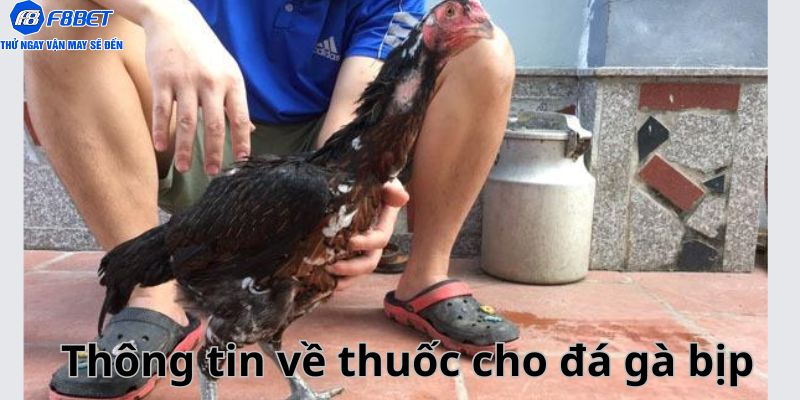 Thông tin cụ thể về thuốc cho gà bịp